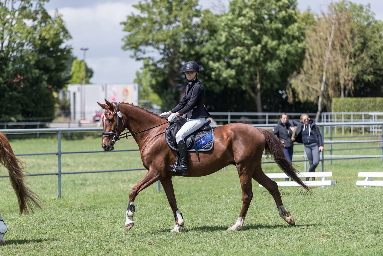 Bild 4 - Pony Akademie Turnier